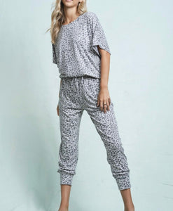 Greyhound Cheetah Lounge set - BOTTOM