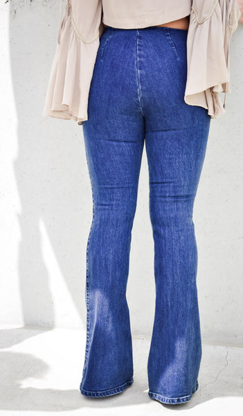 Aria highwaist denim